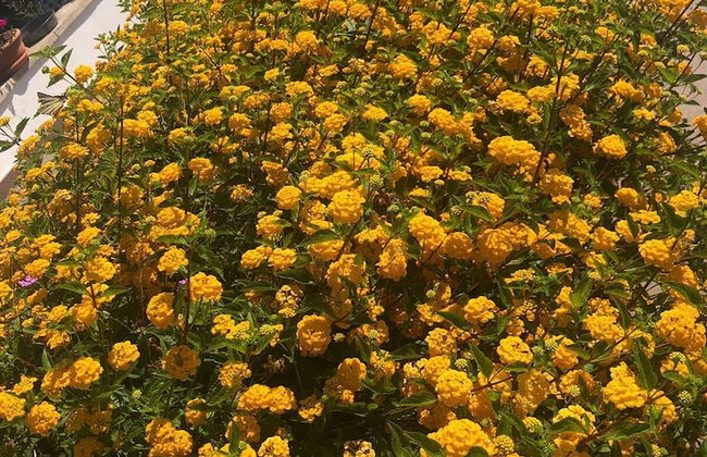 Agriturismo Vivinatura - Foto 74