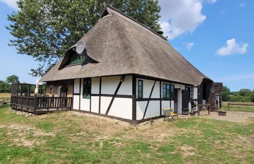 Ferienhof Schwalbennest OFC 24 - Foto 69