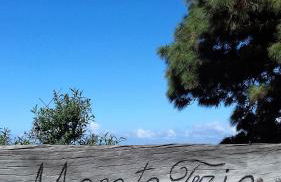 Monte frio de Tenerife - Foto 37