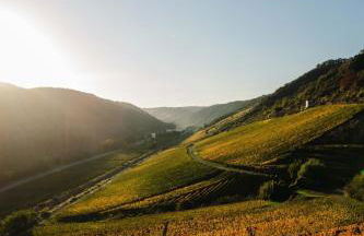 Genuss Cottage - Ferienhaus im Weindorf an der Mosel - Foto 25