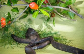 TEUTA Holiday house in National Park - Photo 37