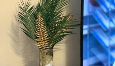 Maison 3 chambres - 600m Métro Marbrerie - Lille - Foto 4