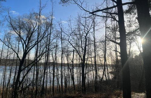 Wielkopolska Szydłówiec - Foto 17