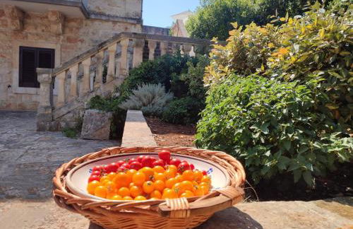 Villa Ostuni - Foto 26