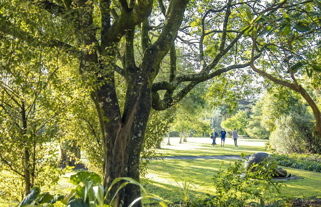 Quest Albany - Foto 19