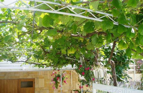 Kiwi apartments - Photo 75