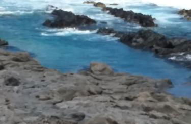 La Casita Azul - Foto 25