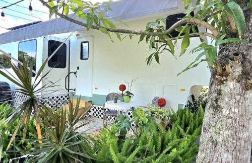 1 Large Bedroom Outdoor Patio - Photo 13