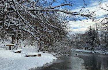 Bieszczady Beztroska Chata - Foto 46
