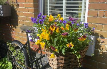 Station Cottage - Foto 15