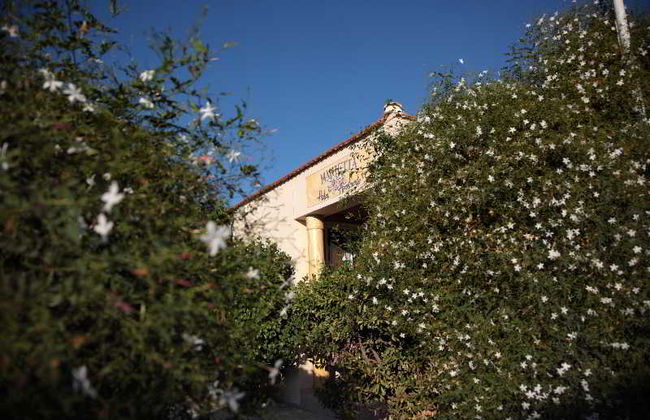 Marietta Hotel & Apartments - Foto 2