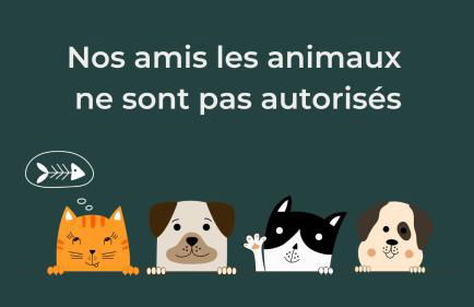 Chalet Kala - Foto 35