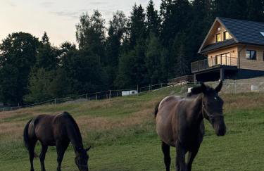 Domek DE-Luxe BUFLAK - Foto 42