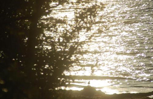 Ostsee-Ferienoase-2-Raum-App-Typ-3 - Foto 14