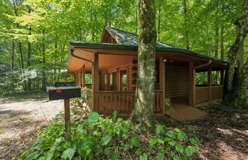 Cozy Creekside Cabin with Wraparound Porch home - Foto 28