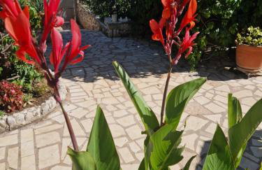 Apartments Rora - Foto 3