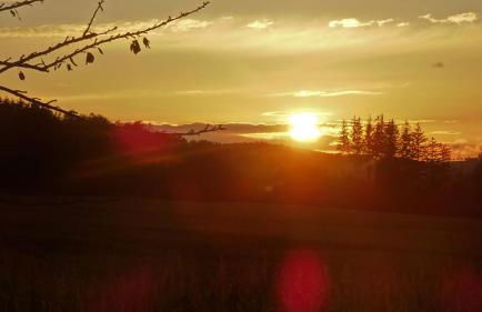 Ferienwohnung Erzgebirgswohnung Götze - Foto 57