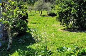 Casa Pandeiras - Foto 26