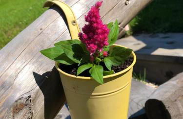 Baita Alpenrose - Photo 41