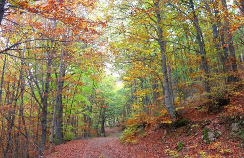 El Rincón de Golobar en Brañosera - Foto 47