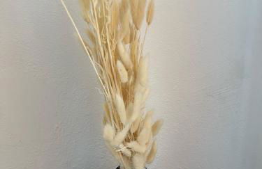 Luxurious family house with pool in Ardèche. - Foto 49