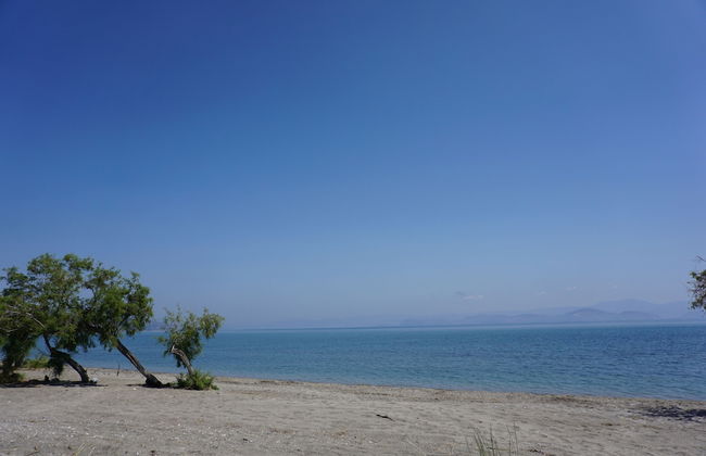 MariRena plaz - Foto 15