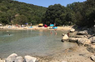 Apartmani Šehović - Photo 19