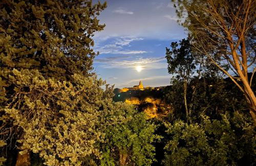 Mas du Bassac - Foto 21