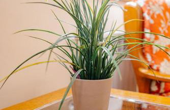 La Carteria casa rural - Foto 40