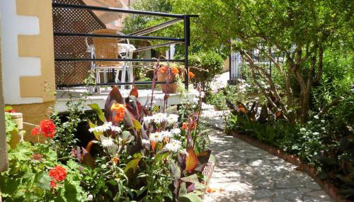 Kostas studios - Foto 4, Garden