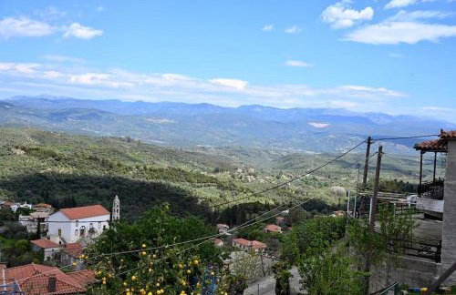 The Teacher's House - Foto 21