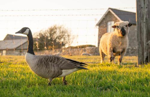 2 Bed in Whitwell oc-o33499 - Foto 31