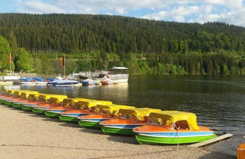 Landhuis Appartement Feldberg Uitzicht - Foto 61