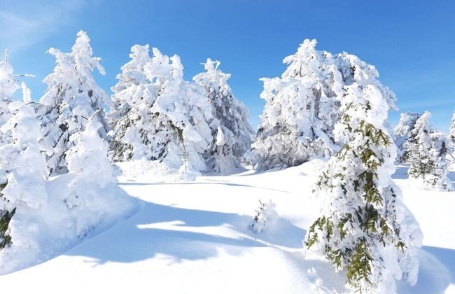 Fingerhut Comfortable Holiday Residence - Foto 17