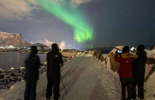 Jagen Sie die Nordlichter mit einem Fotografen - Halbtagestour in kleiner Gruppe - Foto 3