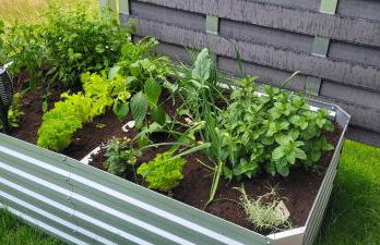 BayVista, die Bayerwald Lodge - Foto 13