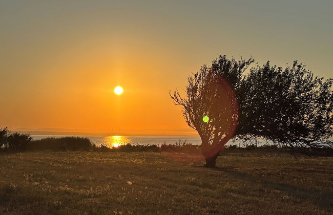 Zeus kır evi - Photo 66