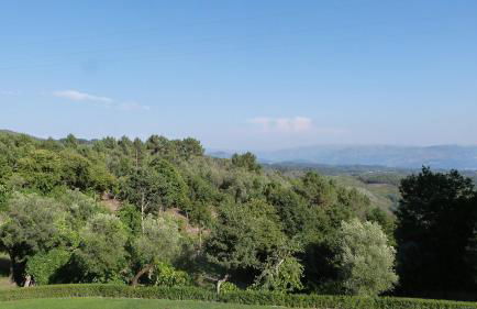 Quinta do Correia - Foto 35