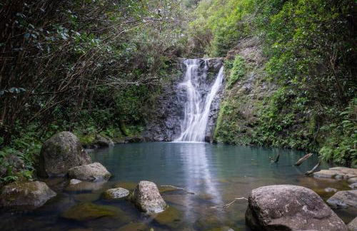 Hale Moana Retreat AC Walk to Ocean and Spacious Family Stay - Foto 23