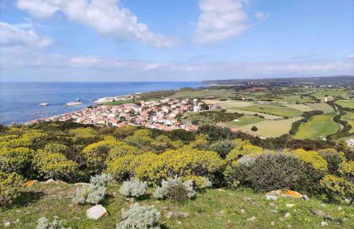 Ale house experience - Foto 7