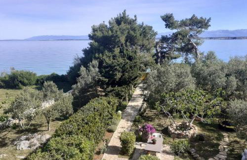 Apartment Brane - Photo 18