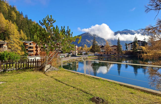 Alpes et Lac 2 - Foto 17