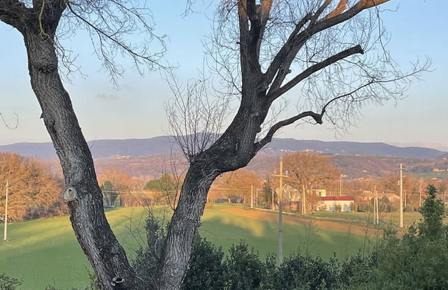 La Fratta Art - House - Foto 53