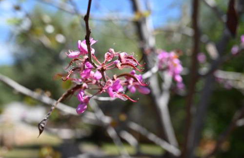 Mouses Apartments-Kardamyli - Foto 52
