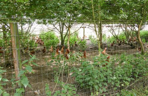 Glebe Farm Cottage - Foto 27