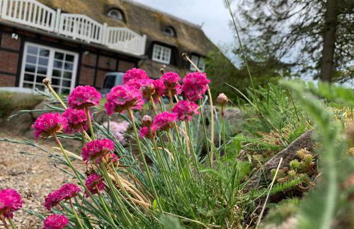 Reet und Meer Beckerwitz - Foto 7