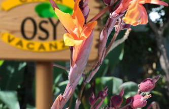 Osy Casa Vacanze - Foto 55