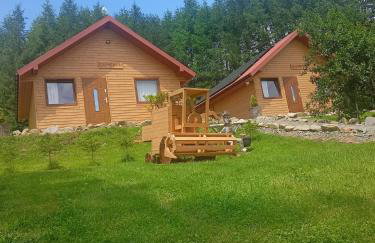 BIESZCZADZKA Antosiówka - Foto 2