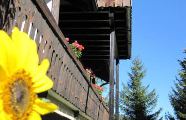 Appartementhaus Schwarzwaldblick - Foto 53