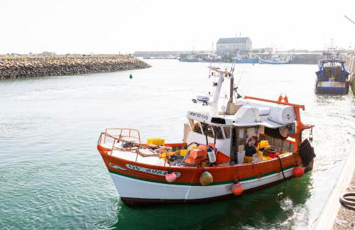 Vacances en famille a 250m de la mer a Penmarch - Foto 28